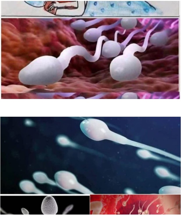 Many know!  Studies reveal that swallowing your partner’s semen… See more